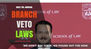 Judicial Review: The Power to Veto Laws Explained
