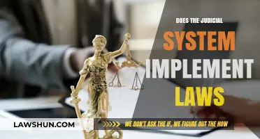 Exploring the Judicial System's Role in Law Implementation