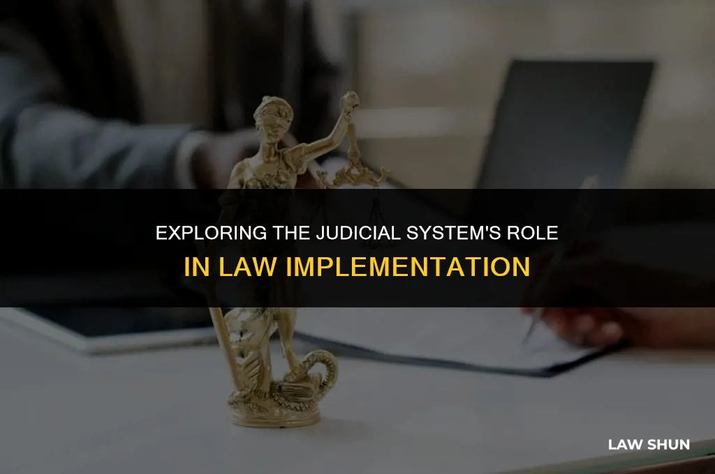 does the judicial system implement laws