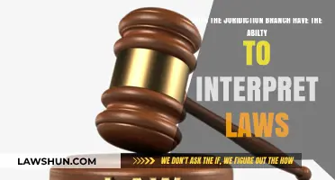Can the Judiciary Branch Interpret Laws? Exploring Judicial Power and Limits