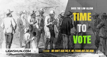 Legal Voting Rights: Does the Law Guarantee Time to Vote?