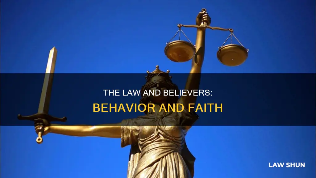 does the law apply to a believer for behavior