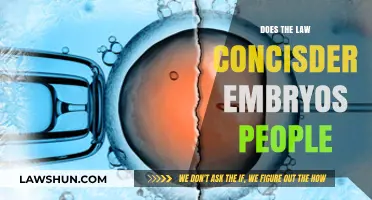 Are Embryos Legally People? Exploring the Legal Status of Embryos