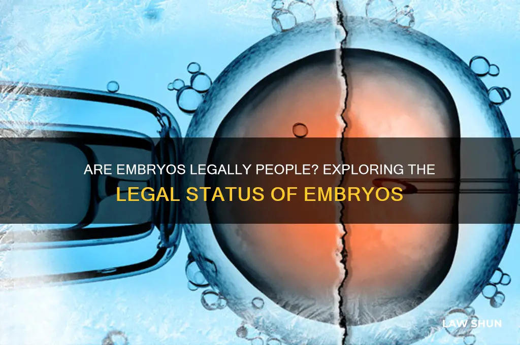 does the law concisder embryos people
