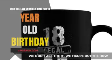 Legal Age Milestone: How the Law Views Your 18th Birthday