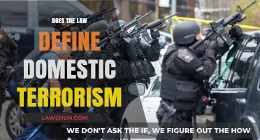 Understanding Domestic Terrorism: A Legal Perspective