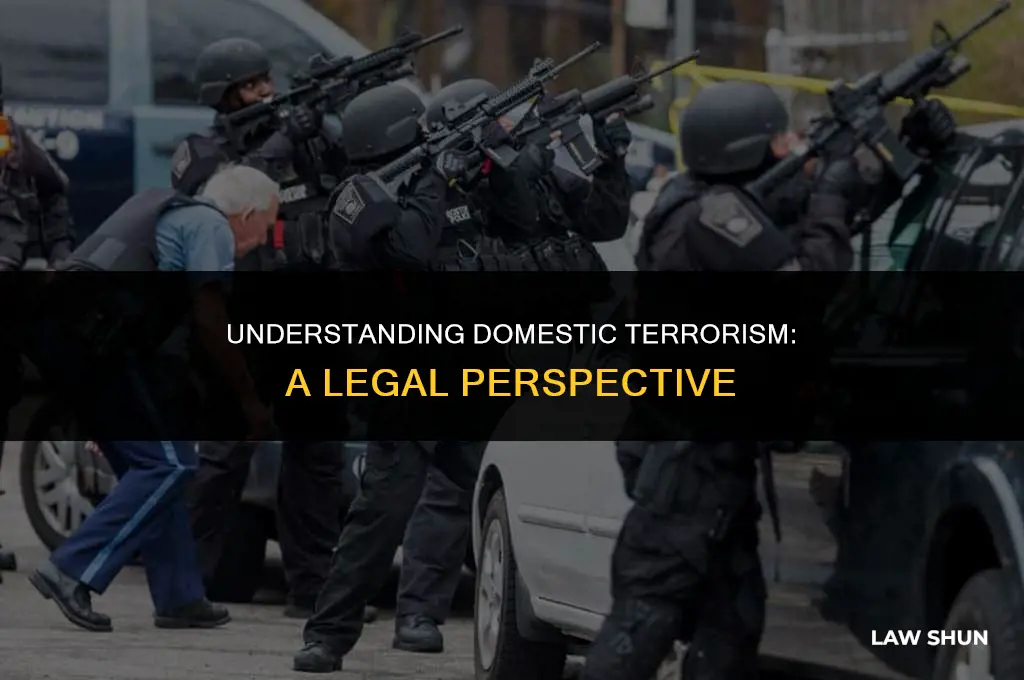 does the law define domestic terrorism