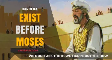 Exploring the Origins of Law: Before Moses and Beyond