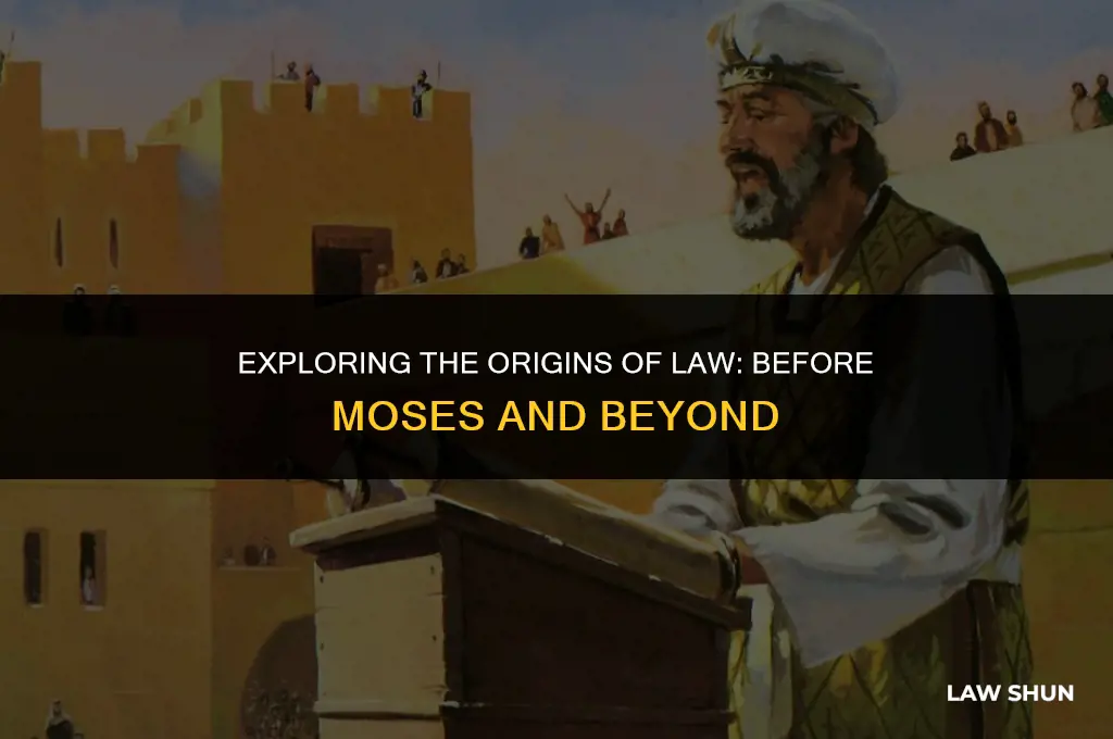 does the law exist before moses