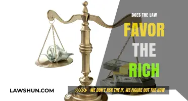 Wealth and Justice: Examining the Legal System's Allegiance