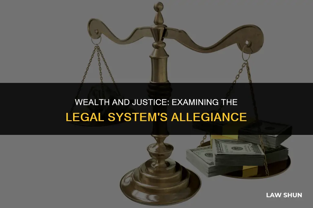 does the law favor the rich