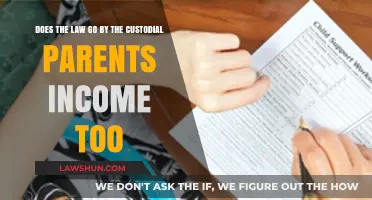 Custodial Parent Income: How Does It Impact Child Support Laws?