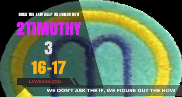 Honoring God Through Scripture: How Law Aligns with 2 Timothy 3:16-17