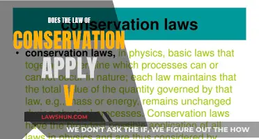 How Law of Conservation Applies to Daily Life