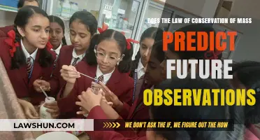 Conservation of Mass: Predicting Future Observations in Science and Beyond