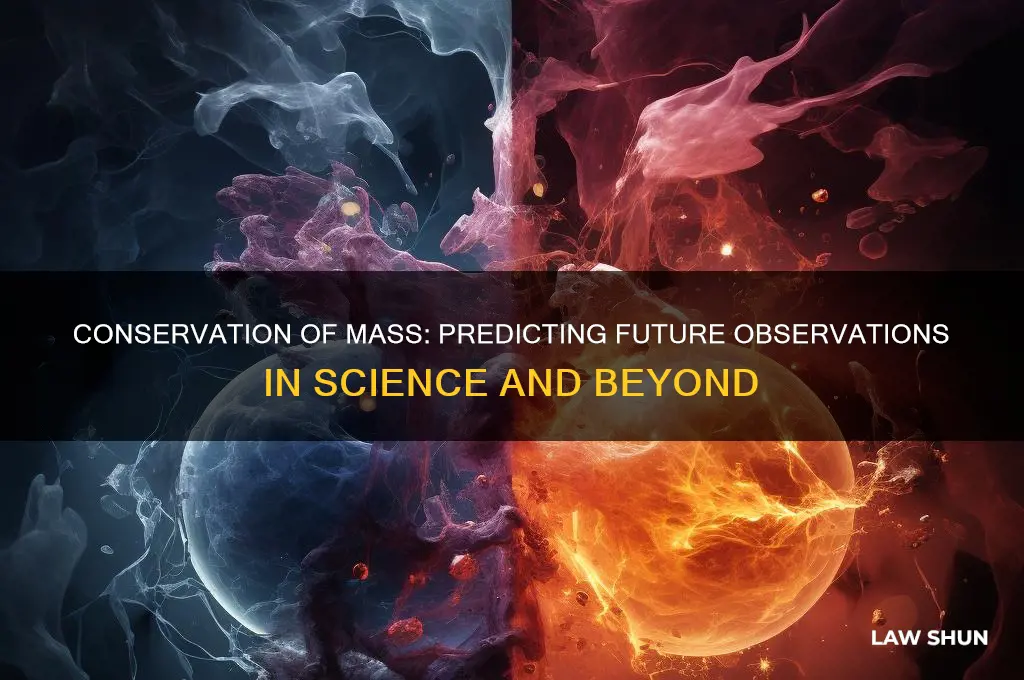 does the law of conservation of mass predict future observations