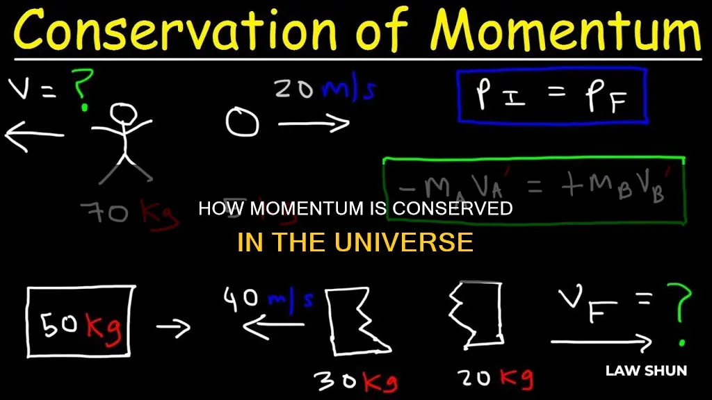 does the law of conservation of momentum apply