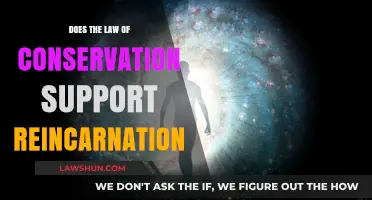 Conservation of Energy: Exploring Reincarnation's Scientific and Spiritual Connection