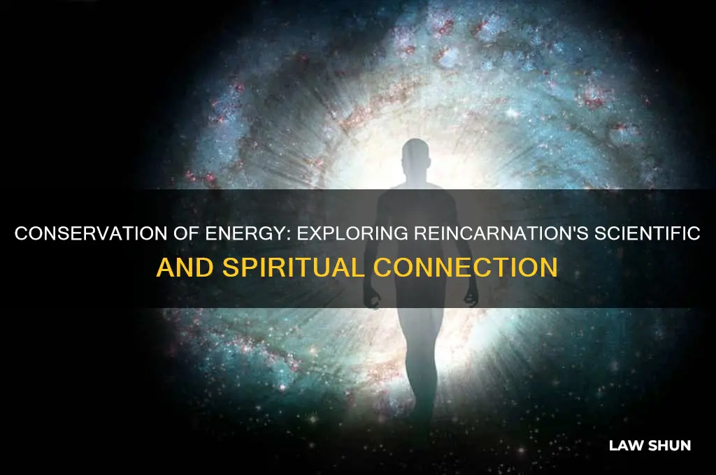 does the law of conservation support reincarnation
