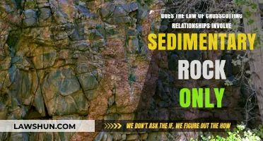 Crosscutting Relationships: Beyond Sedimentary Rocks in Geological Principles