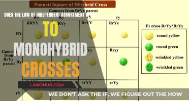 Independent Assortment: Monohybrid Crosses and Mendel's Law