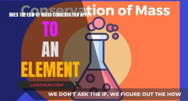 The Conservation of Mass: Does It Apply to Elements?