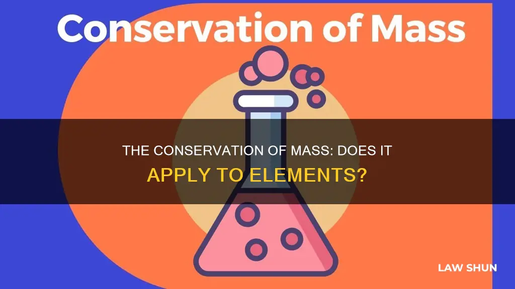 does the law of mass conservation apply to an element