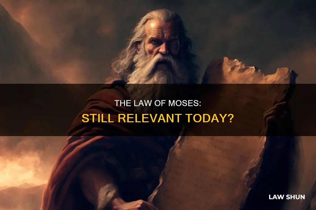 does the law of moses still apply david stearn