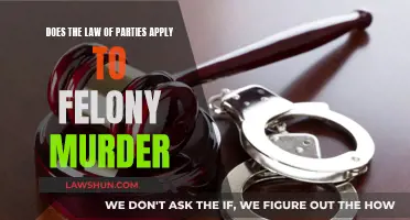 Understanding Felony Murder: Law of Parties Application