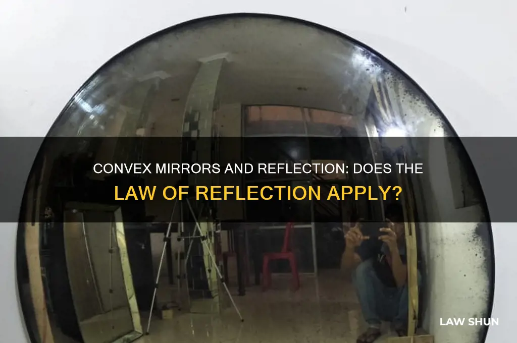 does the law of reflection hold for a convex mirror