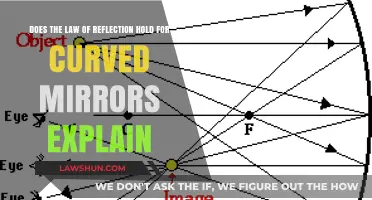 Curved Mirrors and Reflection: Does the Law Still Apply?