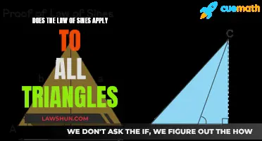 The Law of Sines: Universal Triangle Truth?