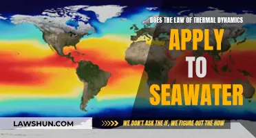 Thermal Dynamics Law: Seawater's Unique Energy Transfer