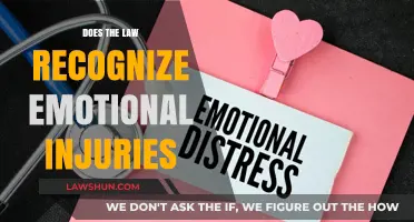Emotional Wounds: Legal Recognition and Remedies