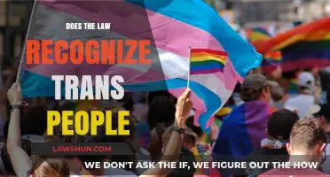 Legal Recognition of Trans Identities: Rights, Challenges, and Progress