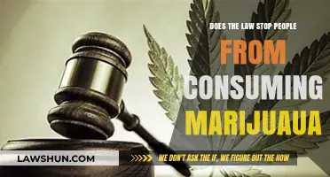 Does the Law Deter Marijuana Use? Exploring Legal Impact on Consumption