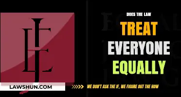 Equal Justice Under the Law: A Critical Examination