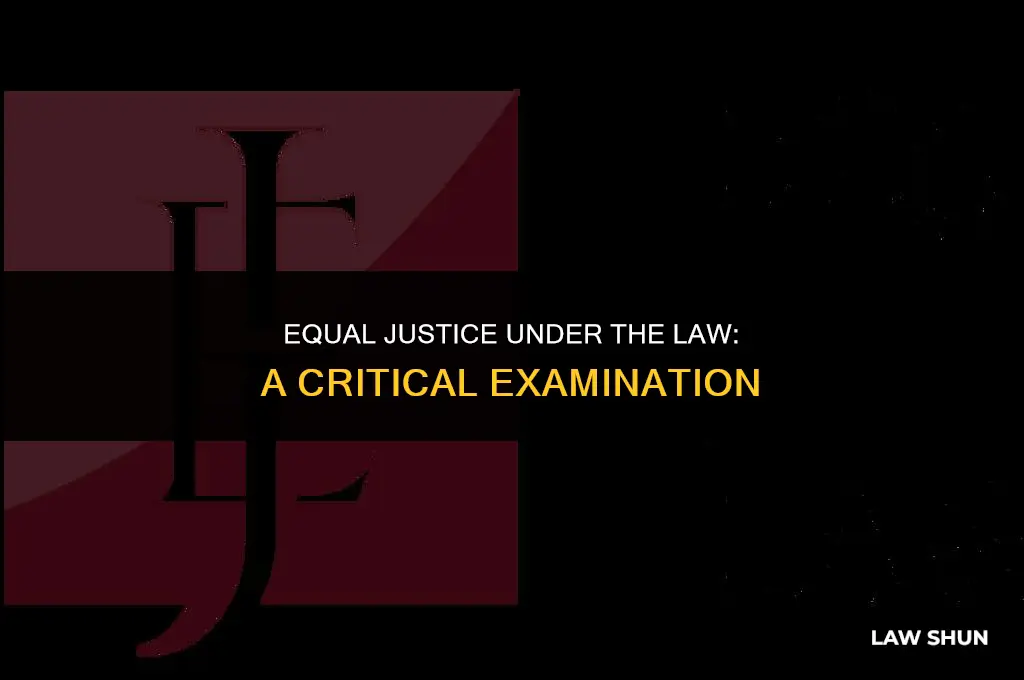 does the law treat everyone equally