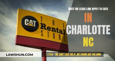 Lease Laws: Cats in Charlotte, NC: What's the Verdict?