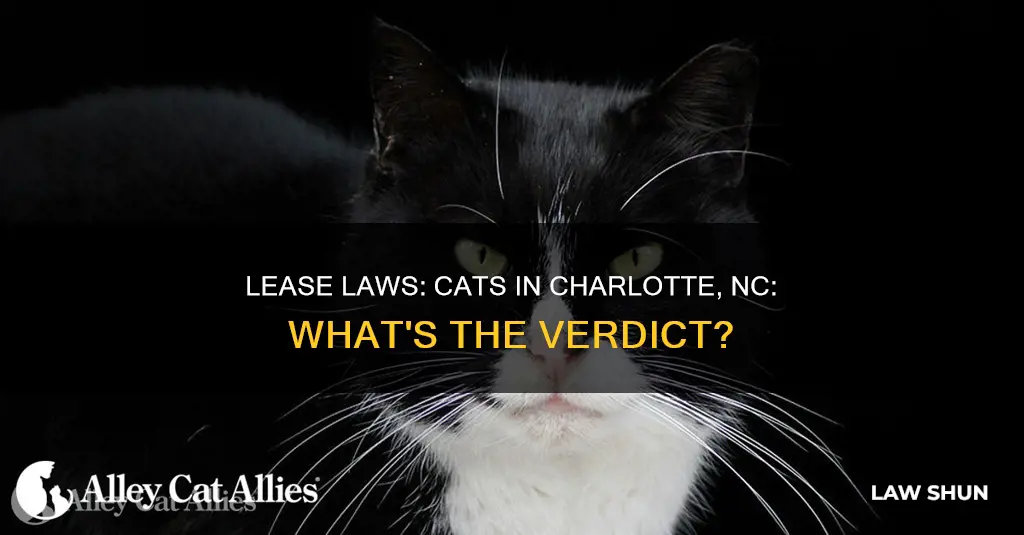 does the lease law apply to cats in charlotte nc