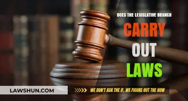 Legislative Branch's Role: Enacting Laws, Not Enforcing Them – Explained