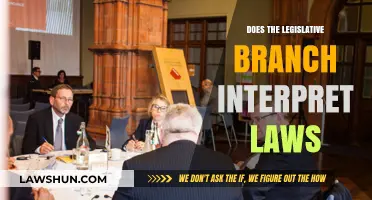Exploring the Role of the Legislative Branch in Law Interpretation