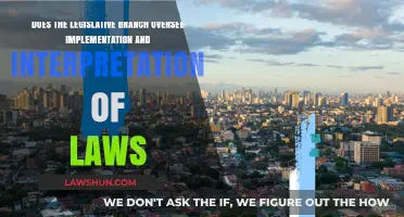 Legislative Branch's Role in Law Implementation and Interpretation Explained