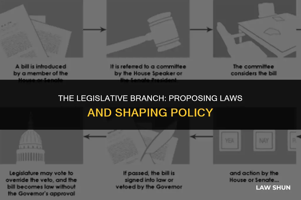 does the legislative branch suggest laws