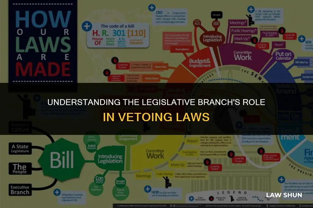 does the legislative branch veto laws
