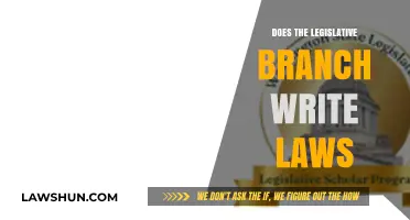 Does the Legislative Branch Write Laws? Understanding Lawmaking in Government