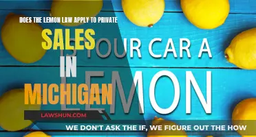 Lemon Law in Michigan: Private Sales Protection?