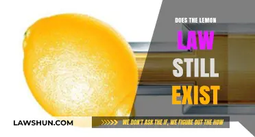 Does the Lemon Law Still Exist? Understanding Your Consumer Rights Today