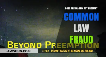 Martin Act: Preempting Common Law Fraud in New York