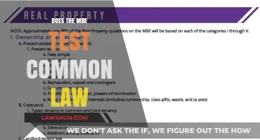 Common Law and the MBE: What to Expect